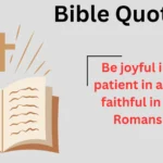 Bible Quotes