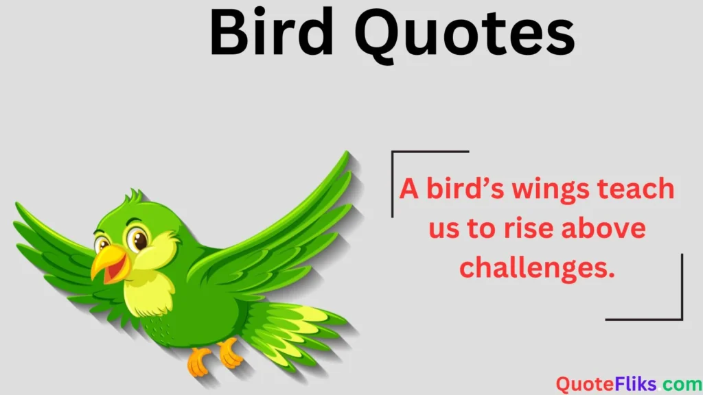 Bird Quotes