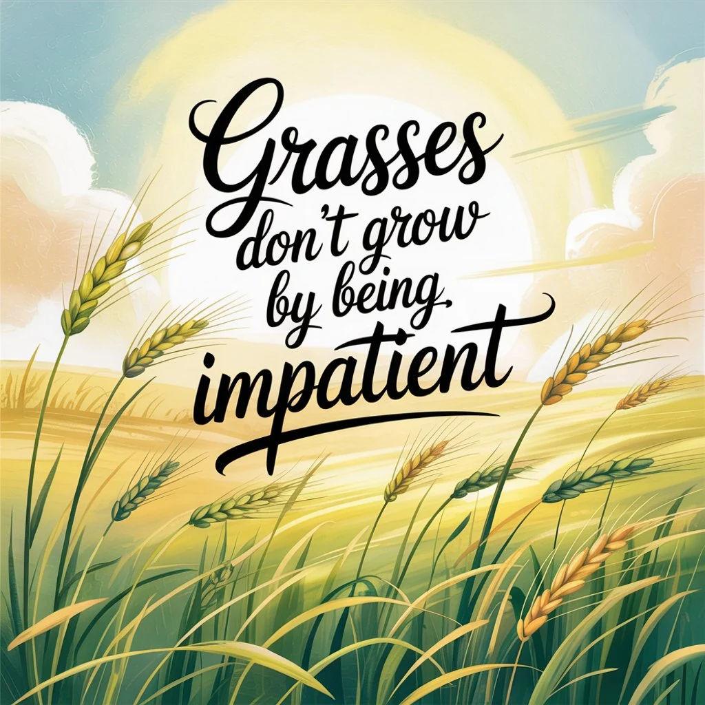 Best Studio Ghibli Quotes