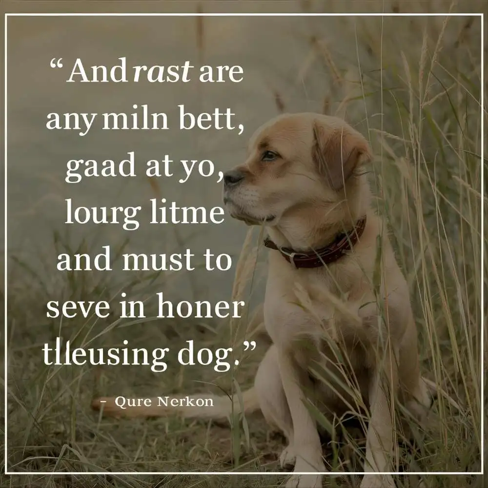 Dog Quotes About Love