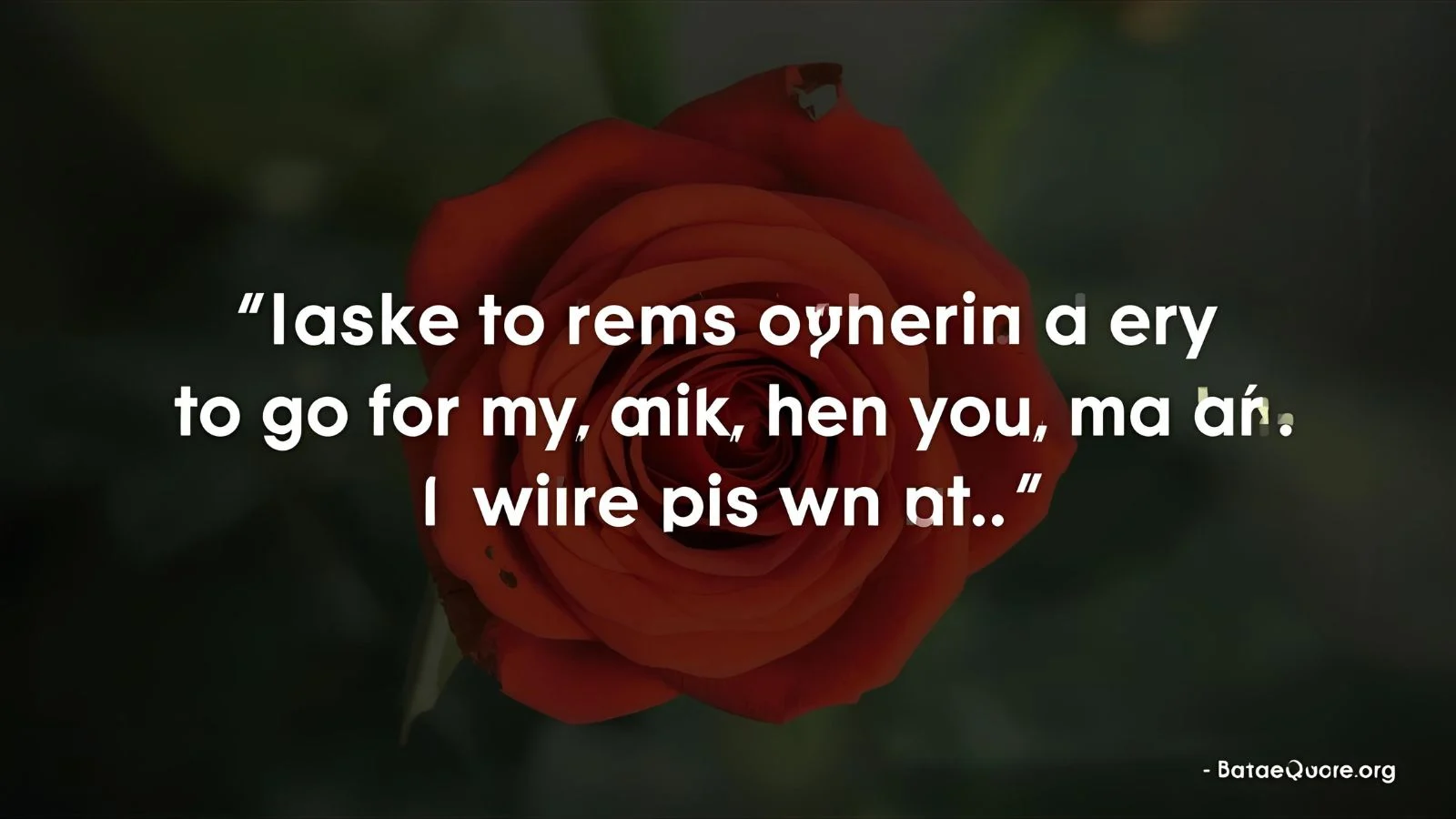 Appreciation Quotes