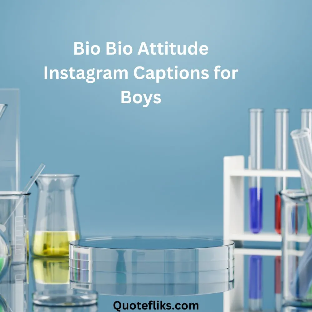 Bio Bio Attitude Instagram Captions for Boys