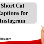 Short Cat Captions for Instagram