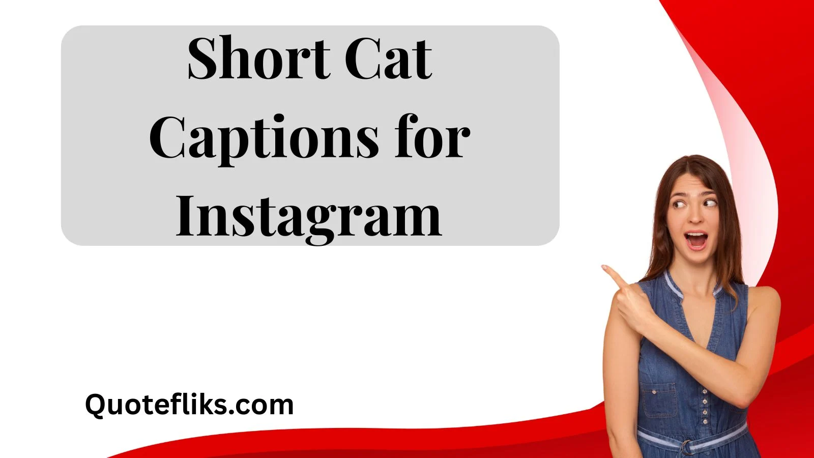 Short Cat Captions for Instagram