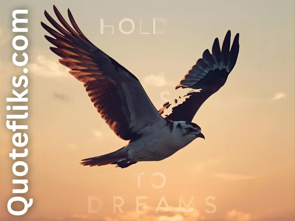 Dreams & Aspirations