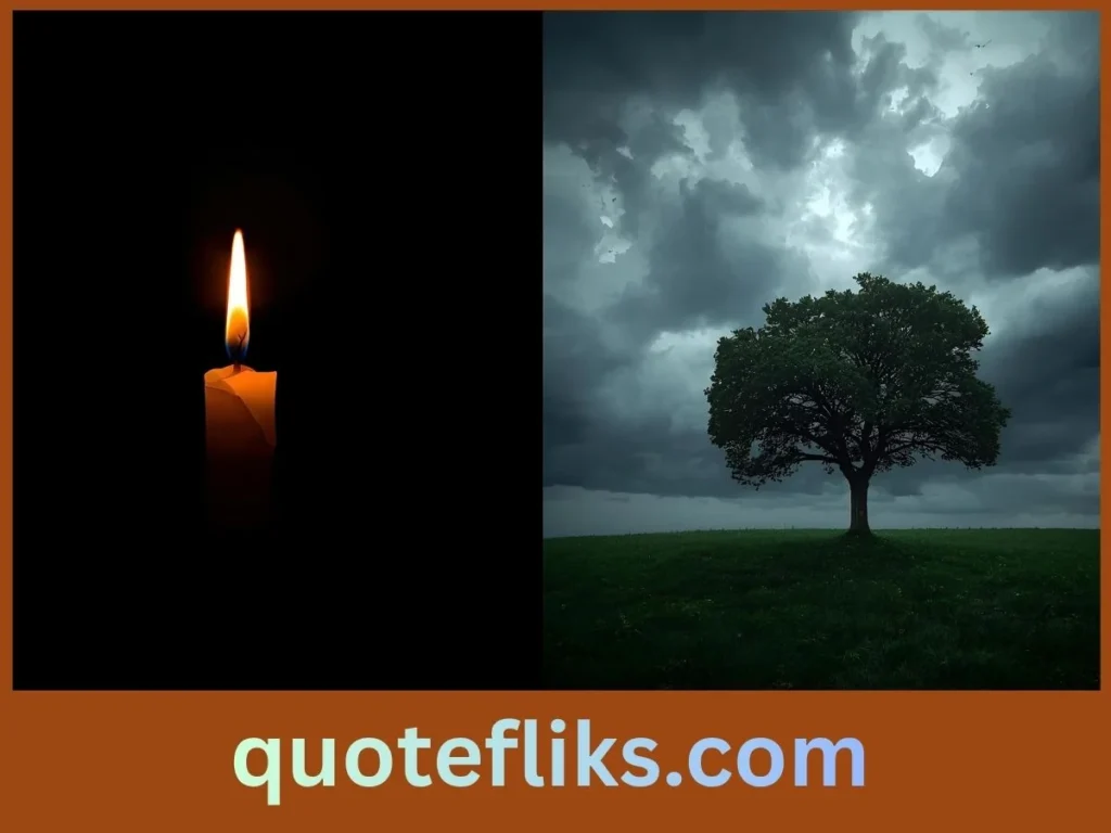 Quotes About Courage & Resistance