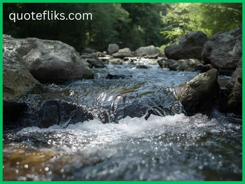 Quotes About Nature & Change